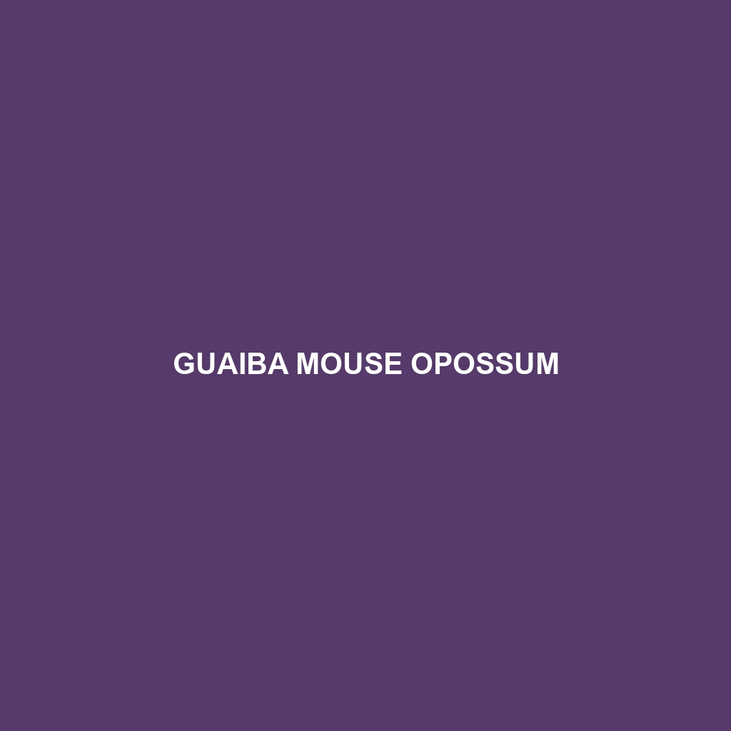 Guaiba Mouse Opossum