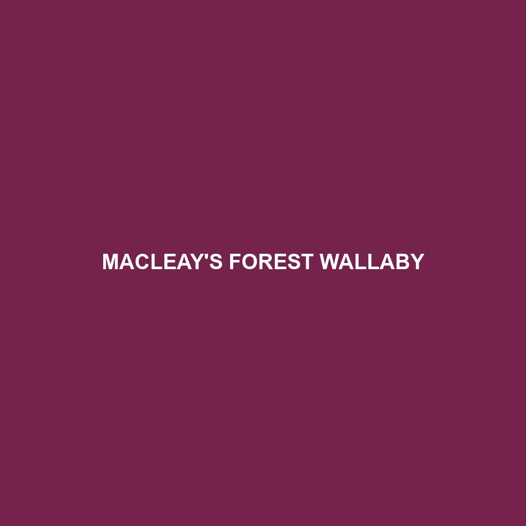 Macleay's Forest Wallaby