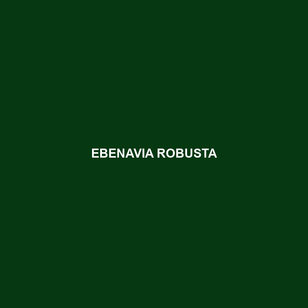 Ebenavia robusta