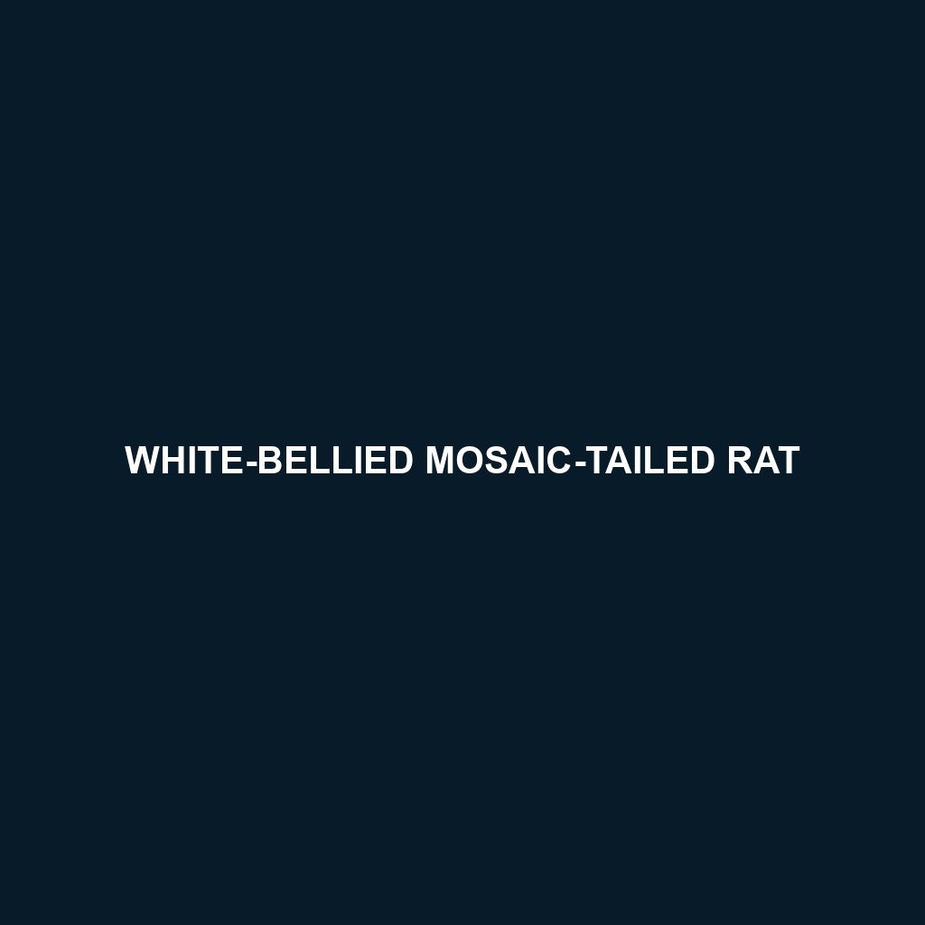 White-bellied Mosaic-tailed Rat