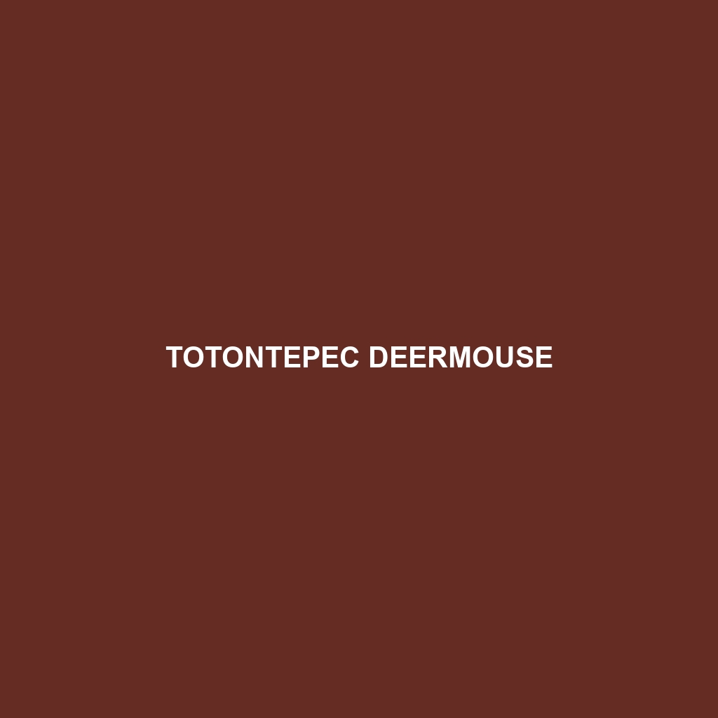 Totontepec Deermouse