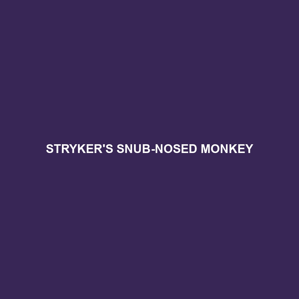 Stryker's Snub-nosed Monkey