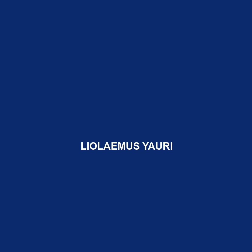 Liolaemus yauri