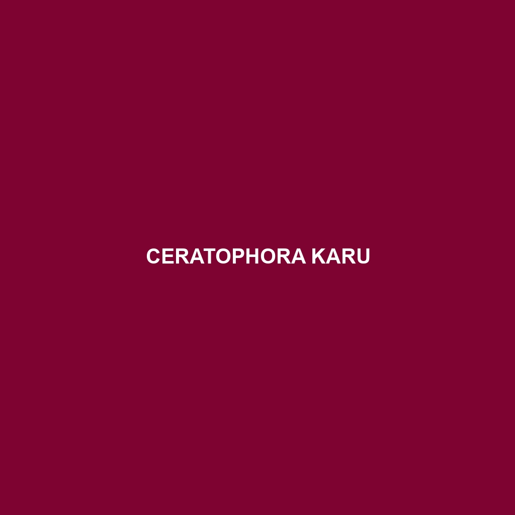 Ceratophora karu