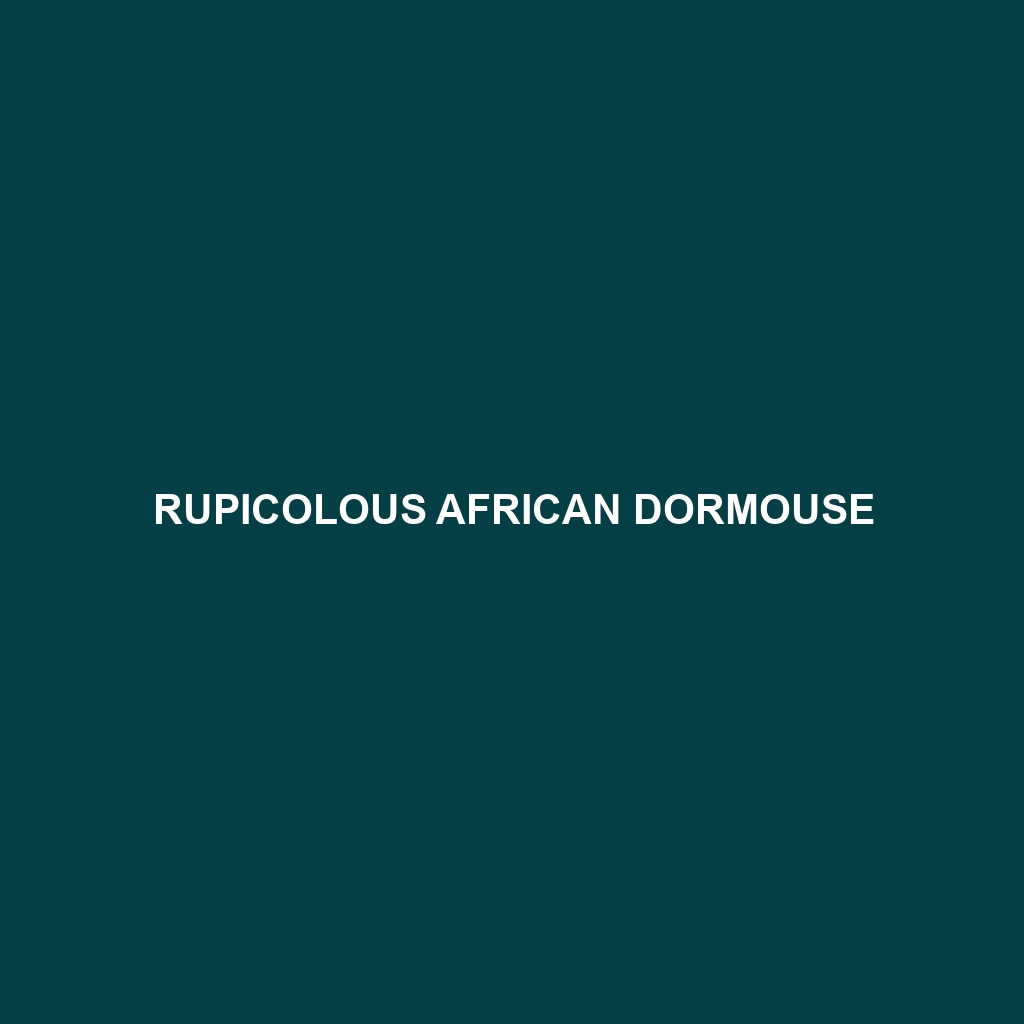 Rupicolous African Dormouse