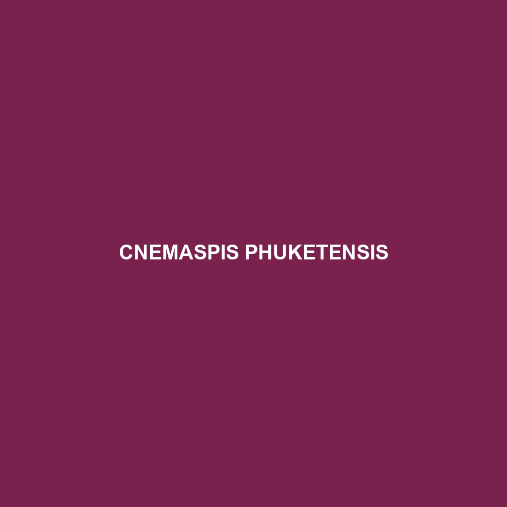 Cnemaspis phuketensis