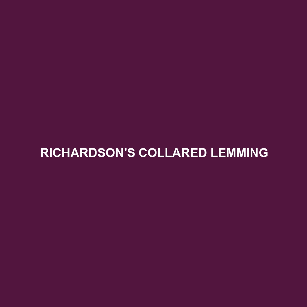 Richardson's Collared Lemming