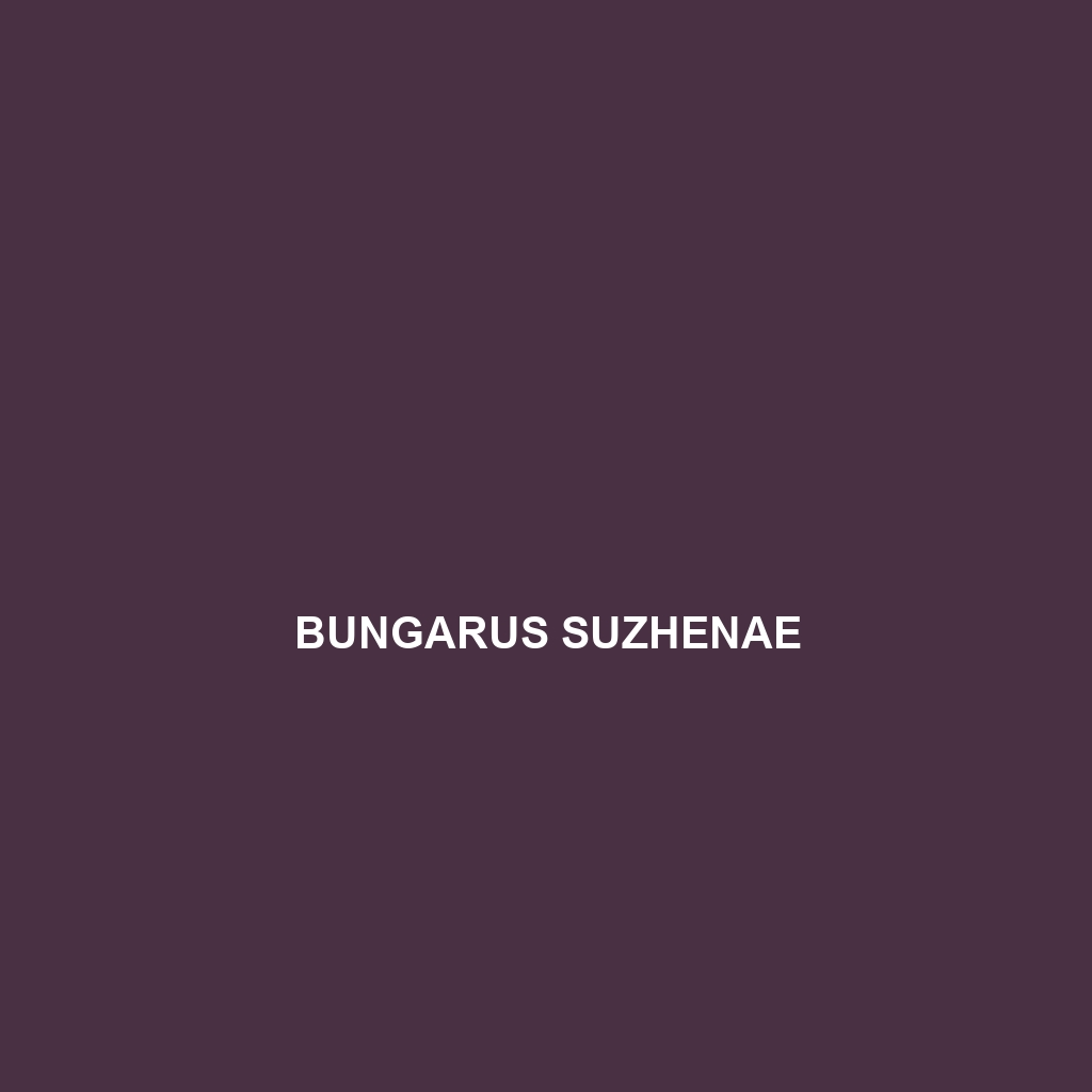 Bungarus slowinskii