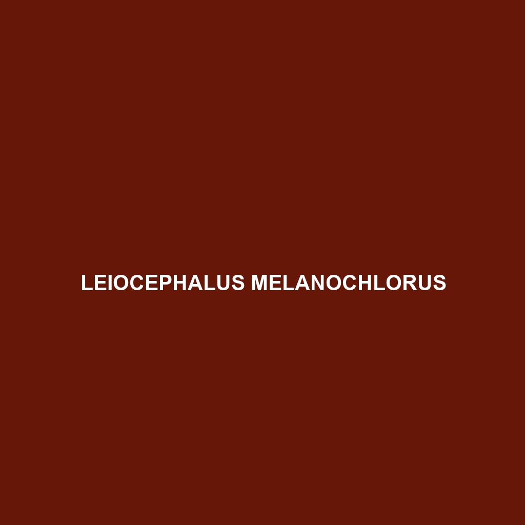 Leiocephalus melanochlorus