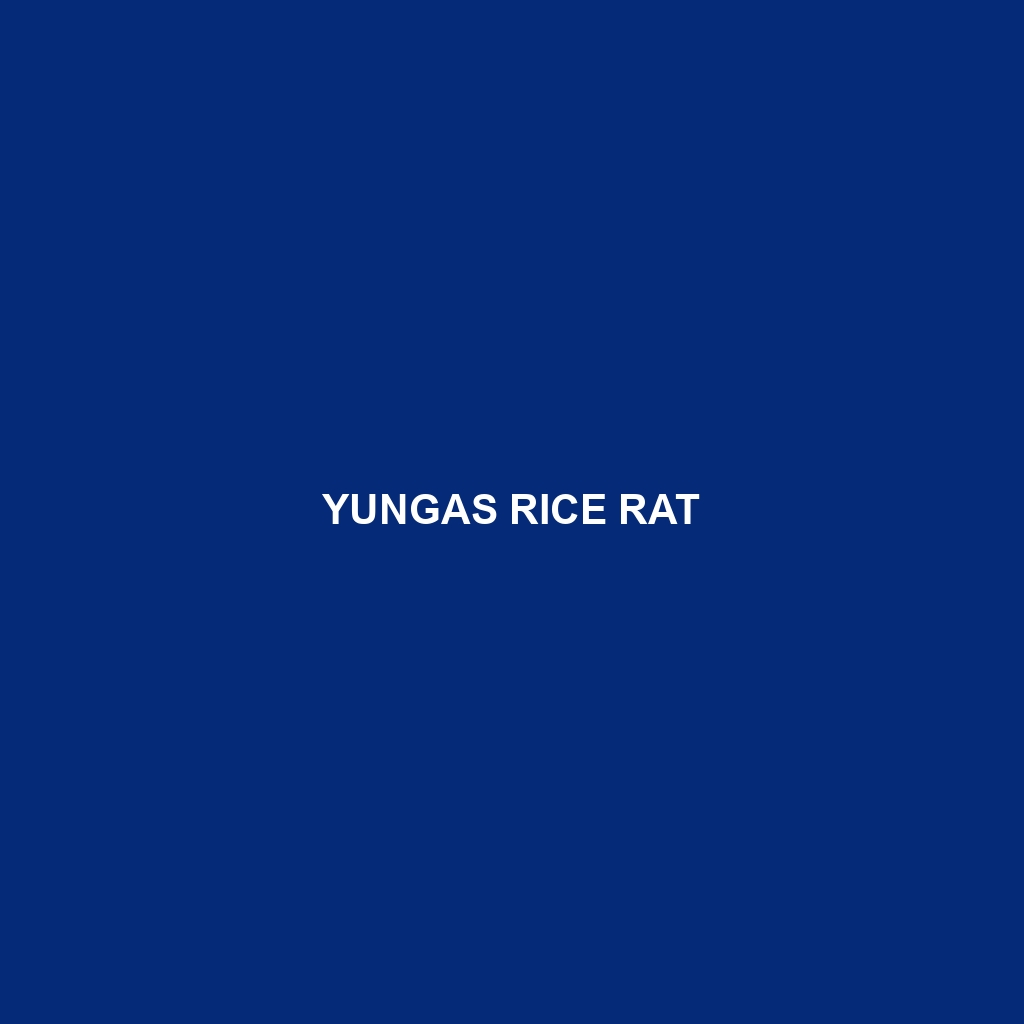 Yungas Rice Rat