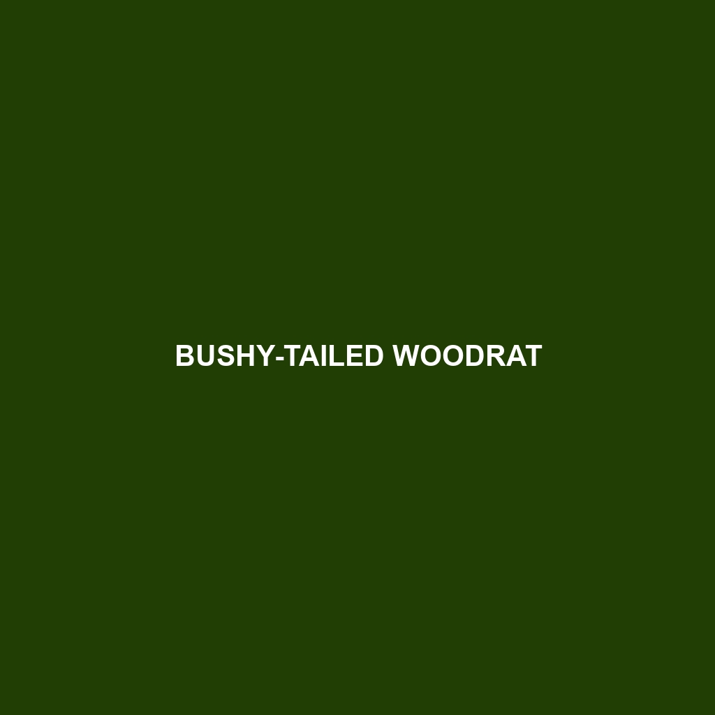 Bushy-tailed Woodrat