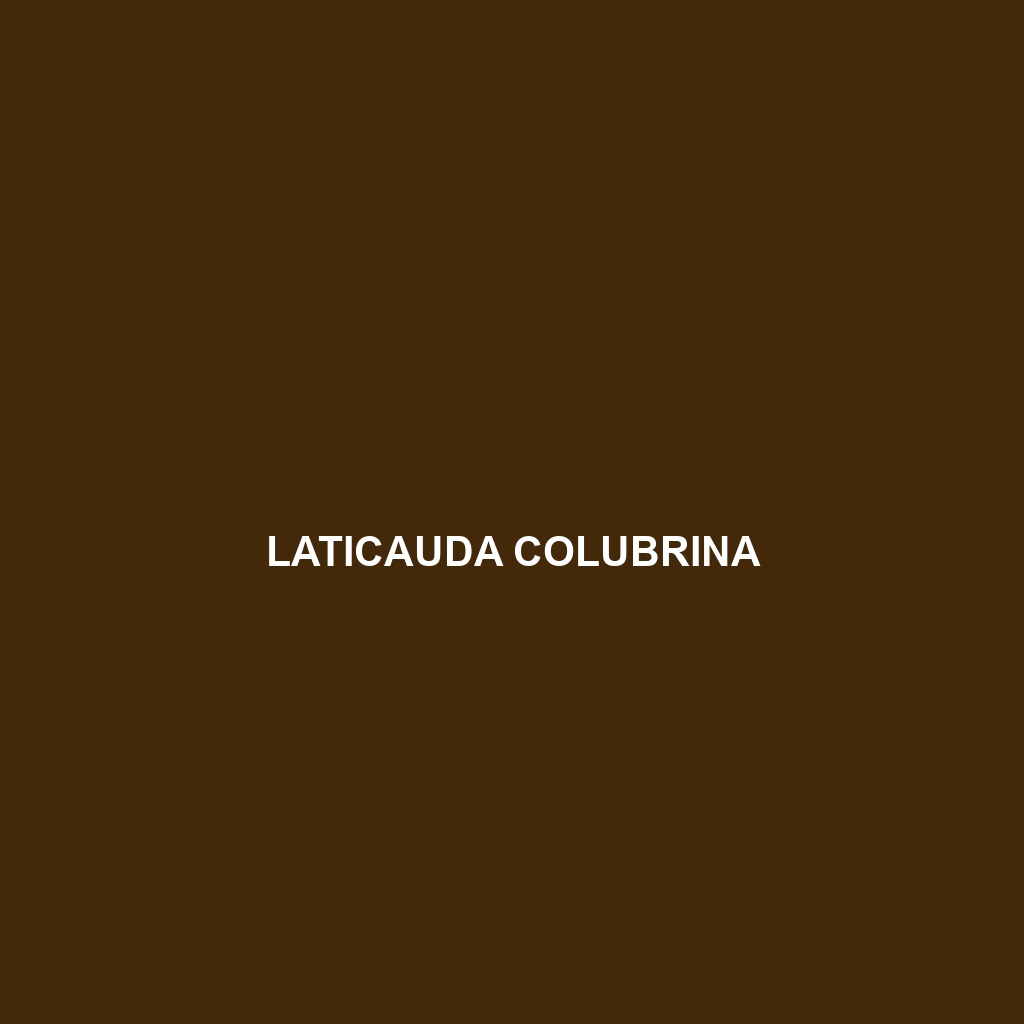 Laticauda colubrina