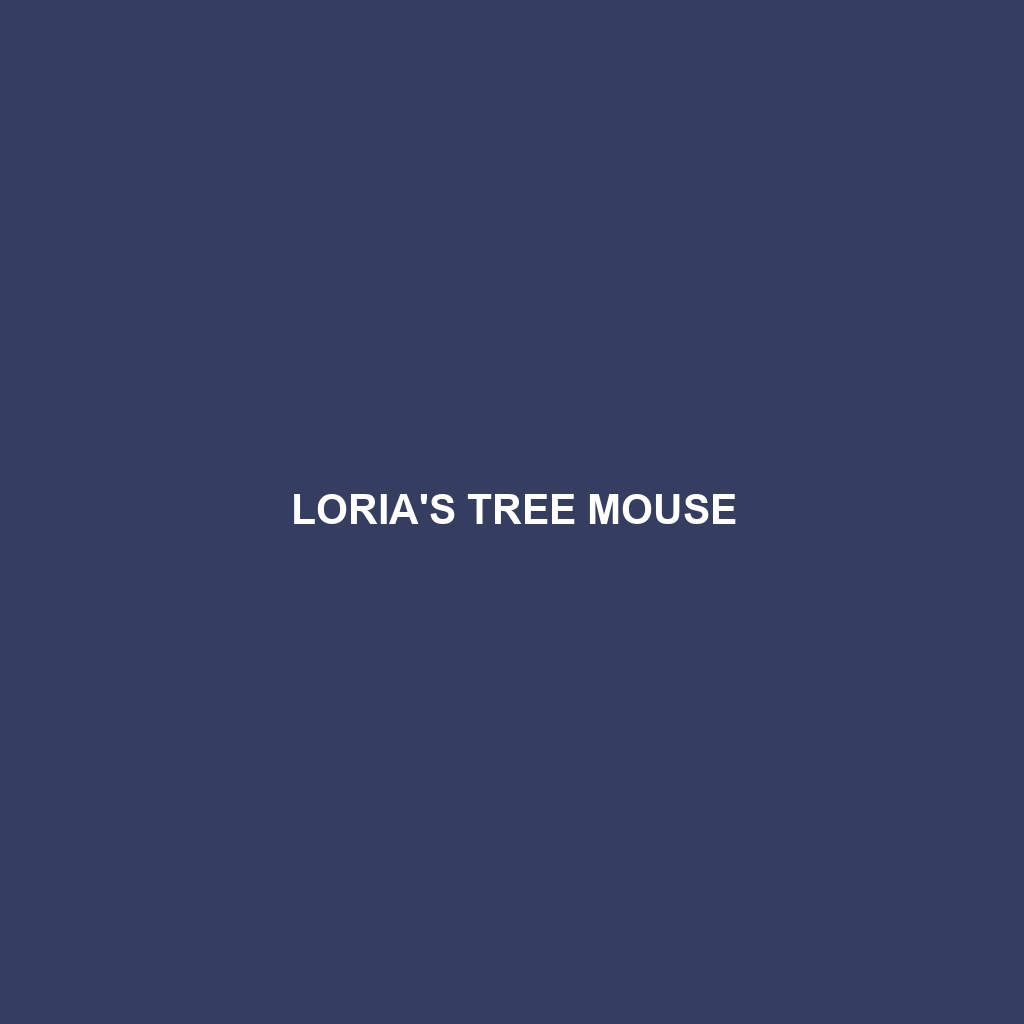 Loria's Tree Mouse