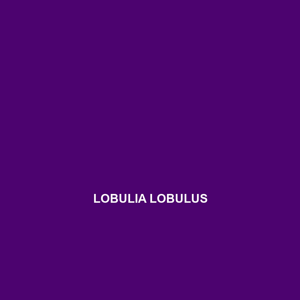 Lobulia lobulus