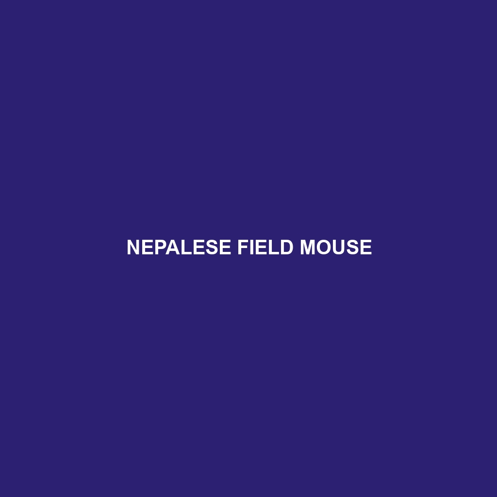 Nepalese Field Mouse