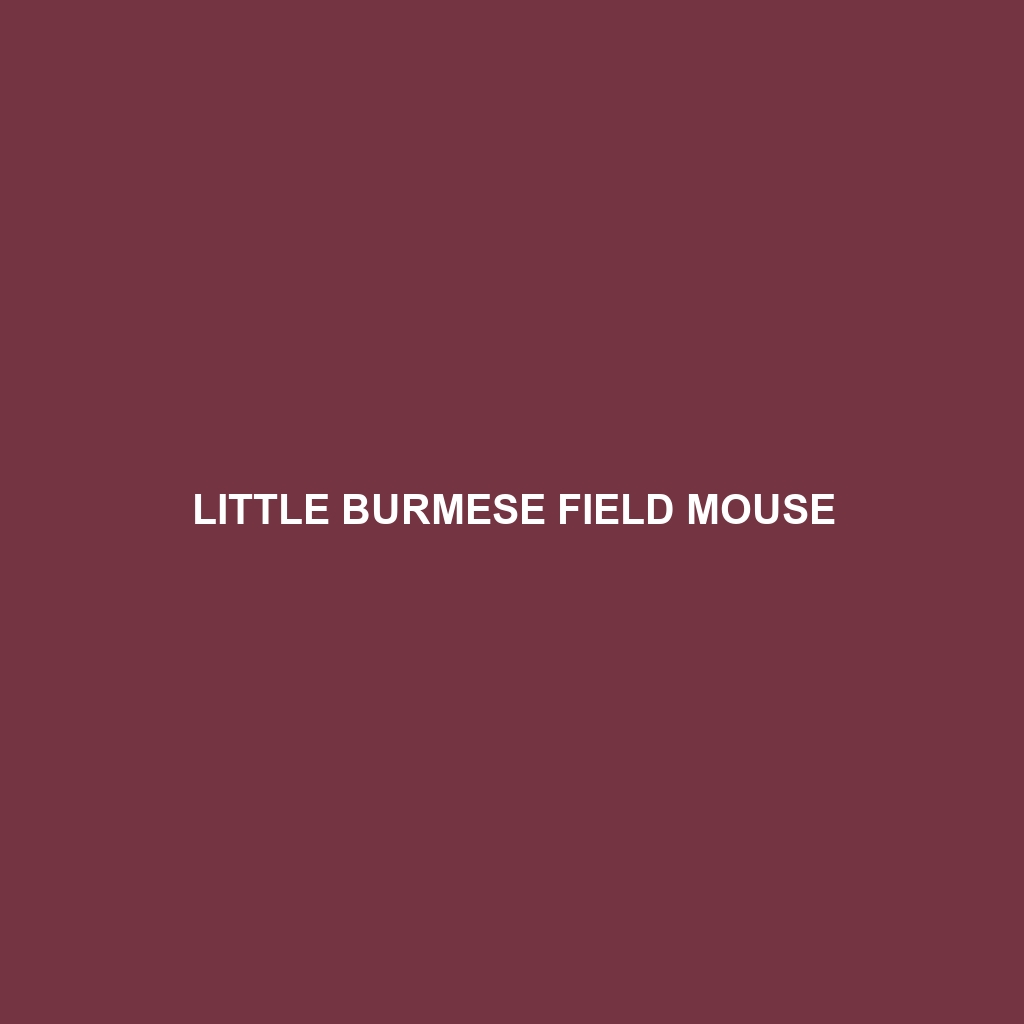 Little Burmese Field Mouse