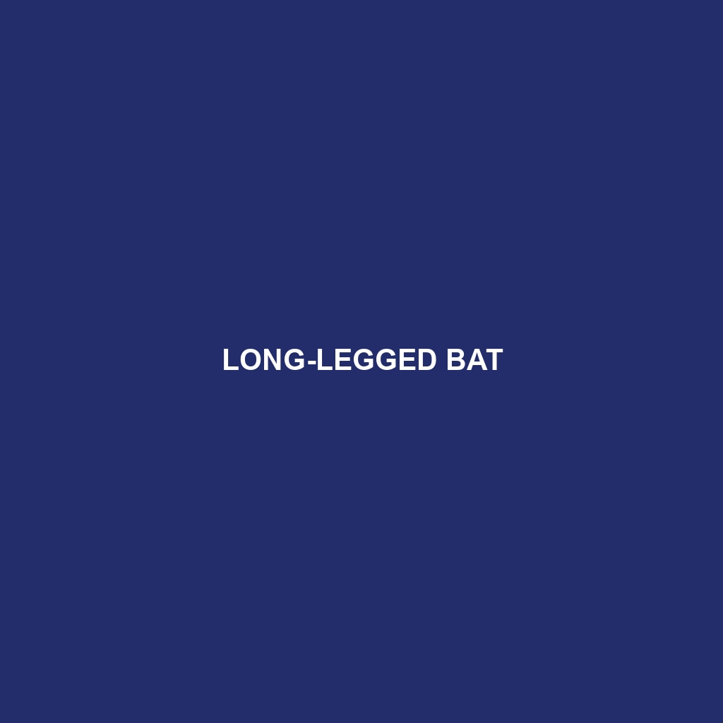 Long-legged Bat