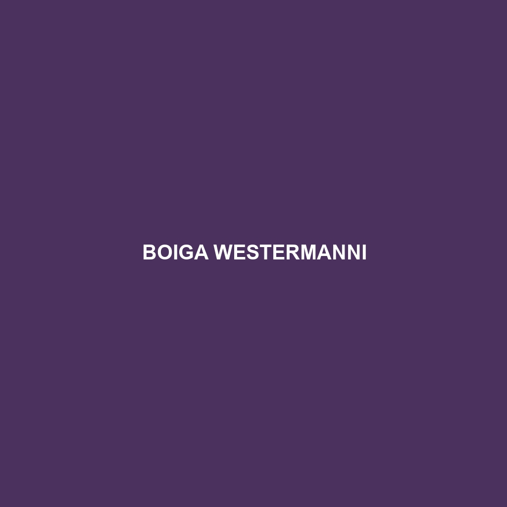 Boiga westermanni