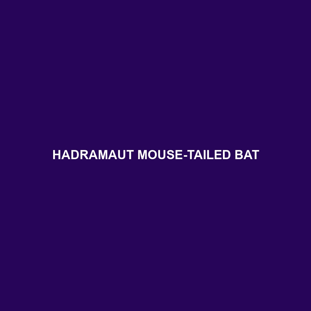 Hadramaut Mouse-tailed Bat