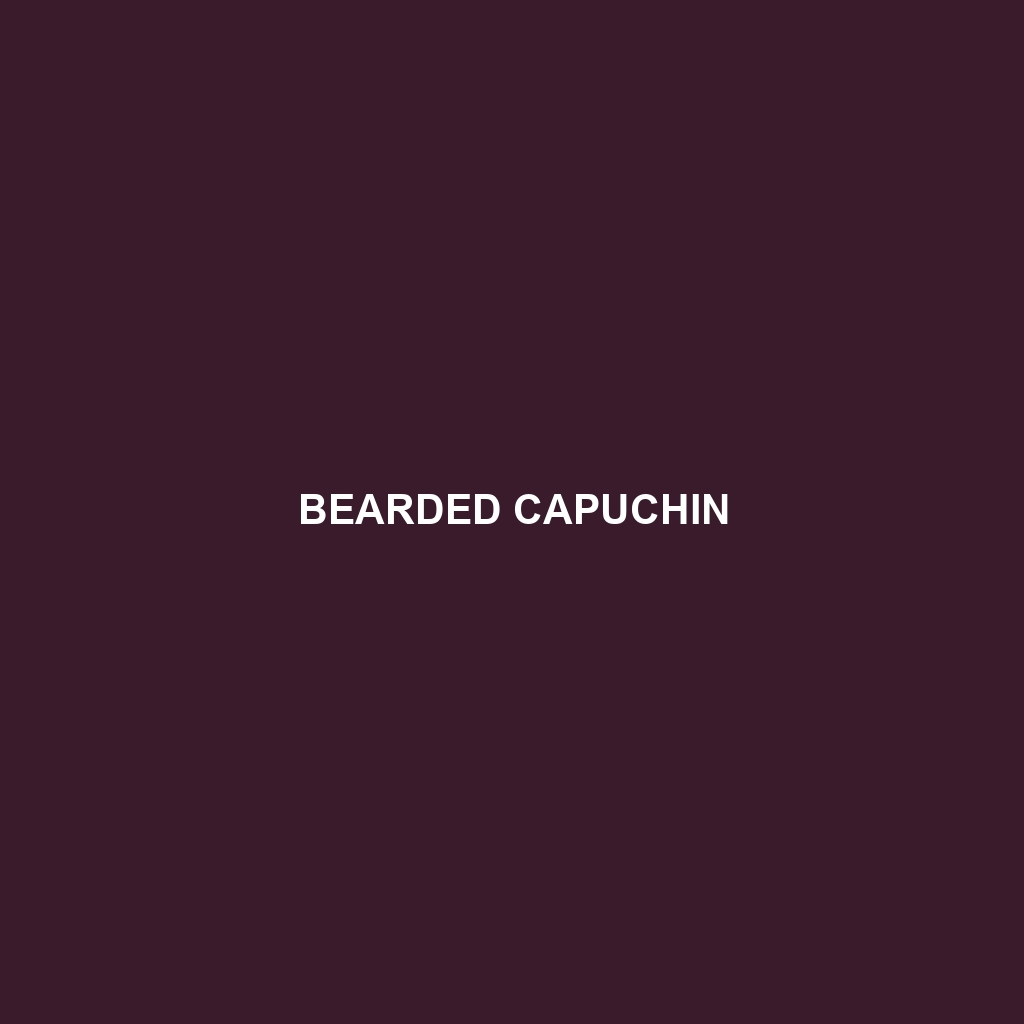 Bearded Capuchin