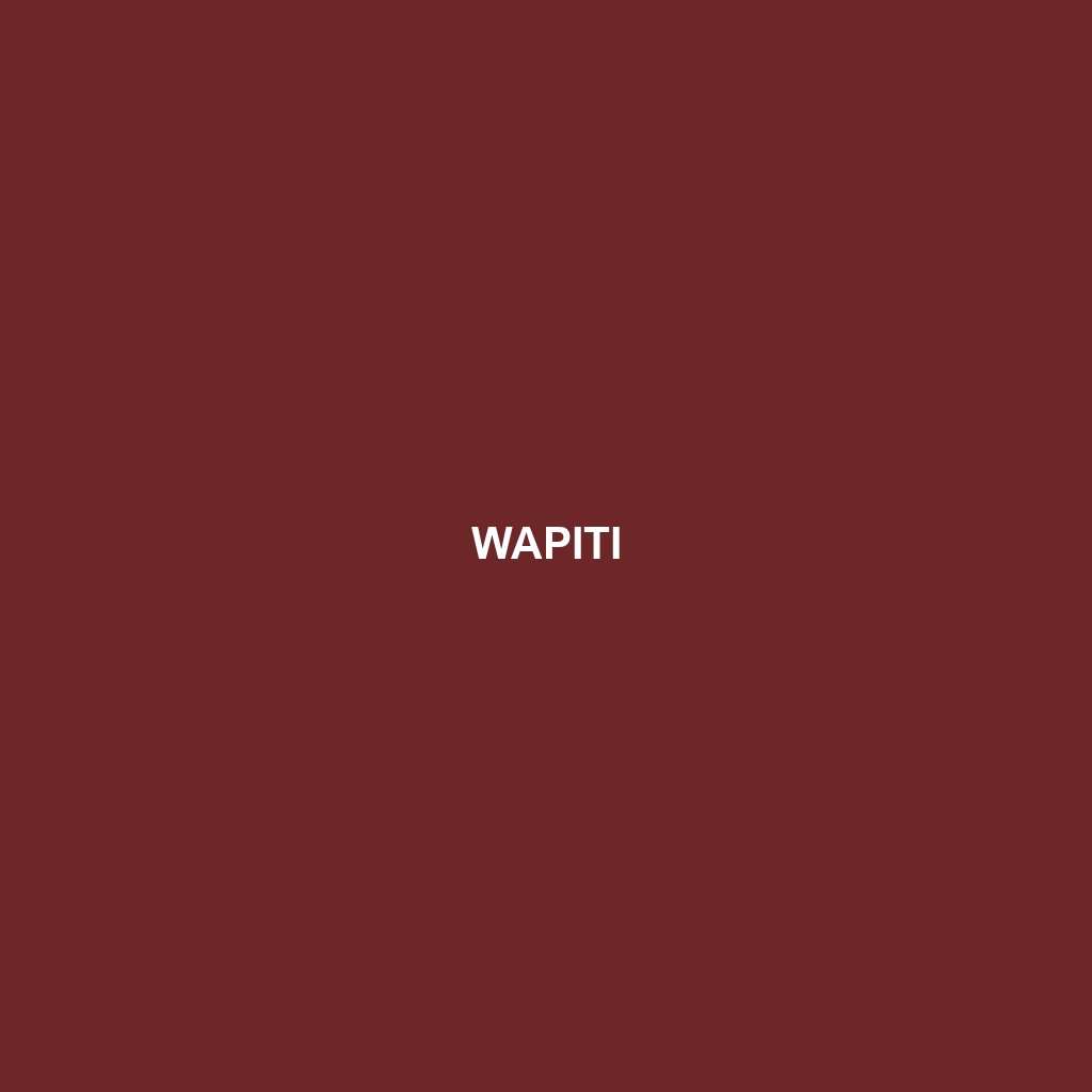 Wapiti