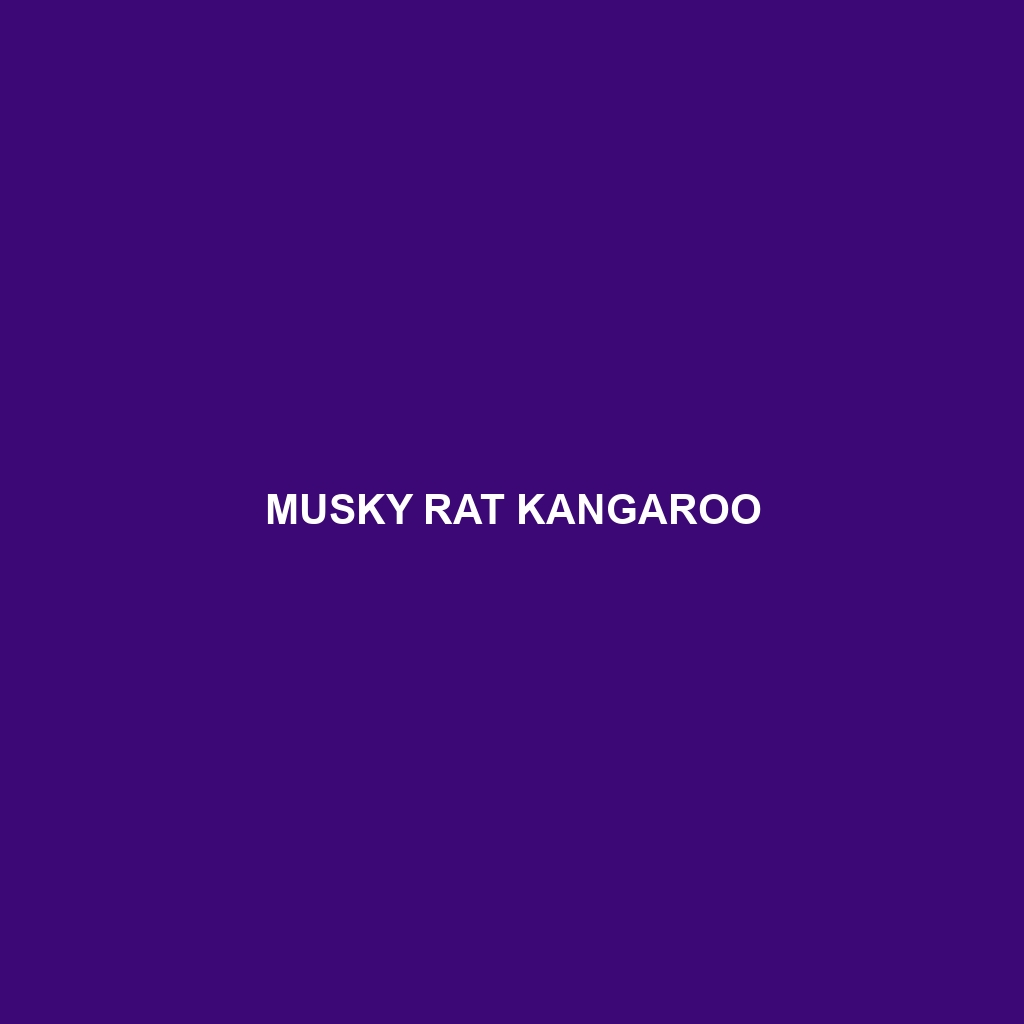 Musky Rat Kangaroo