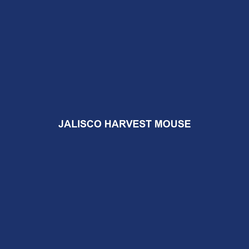 Jalisco Harvest Mouse