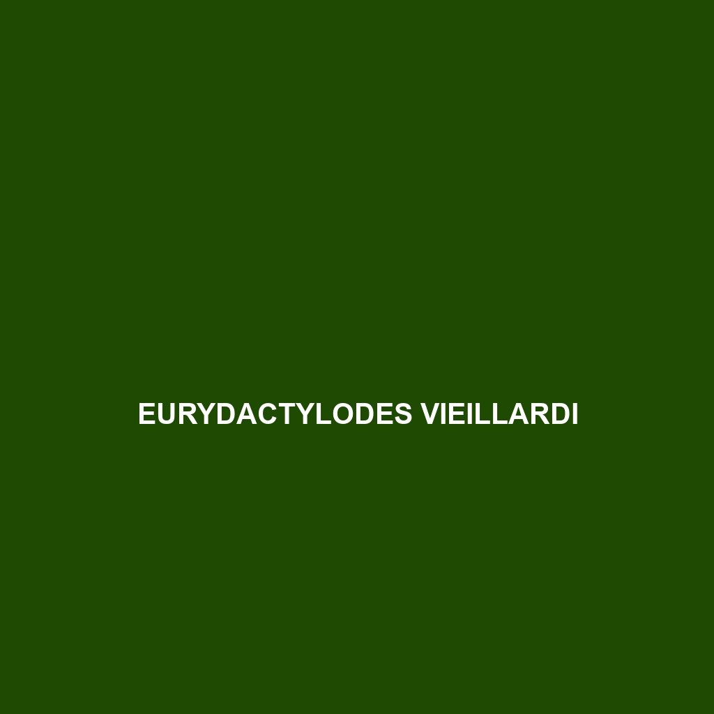 Eurydactylodes vieillardi