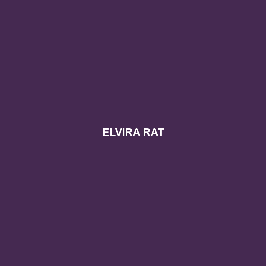 Elvira Rat