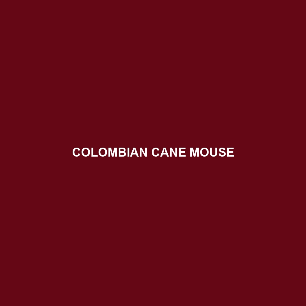 Colombian Cane Mouse