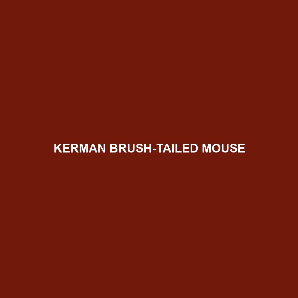 Kerman Brush-tailed Mouse