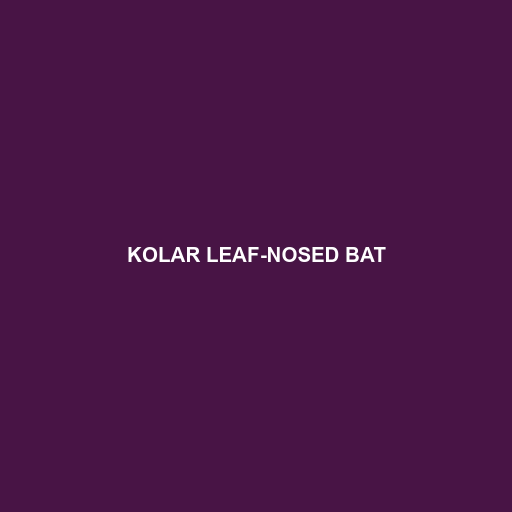 Kolar Leaf-nosed Bat