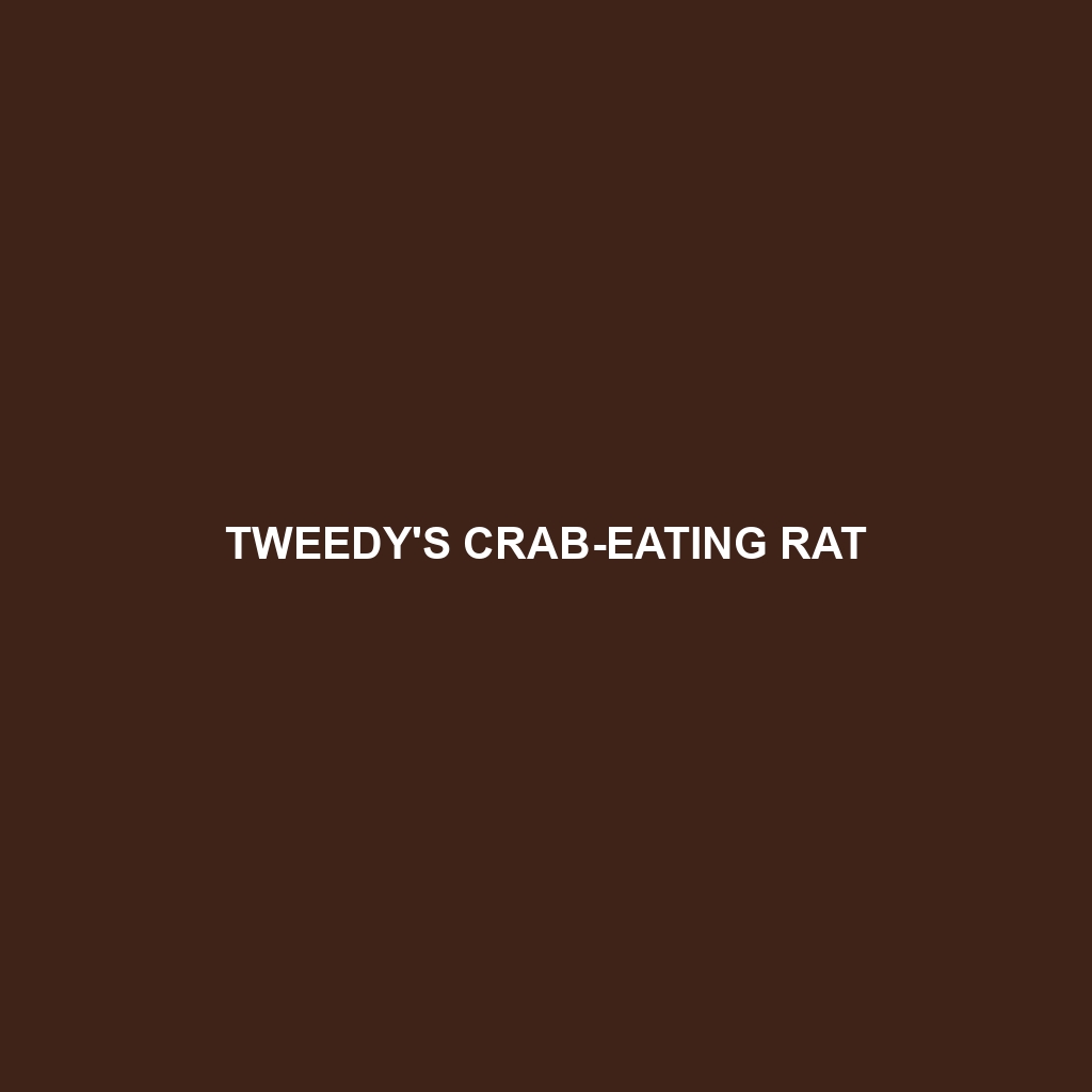 Tweedy's Crab-eating Rat