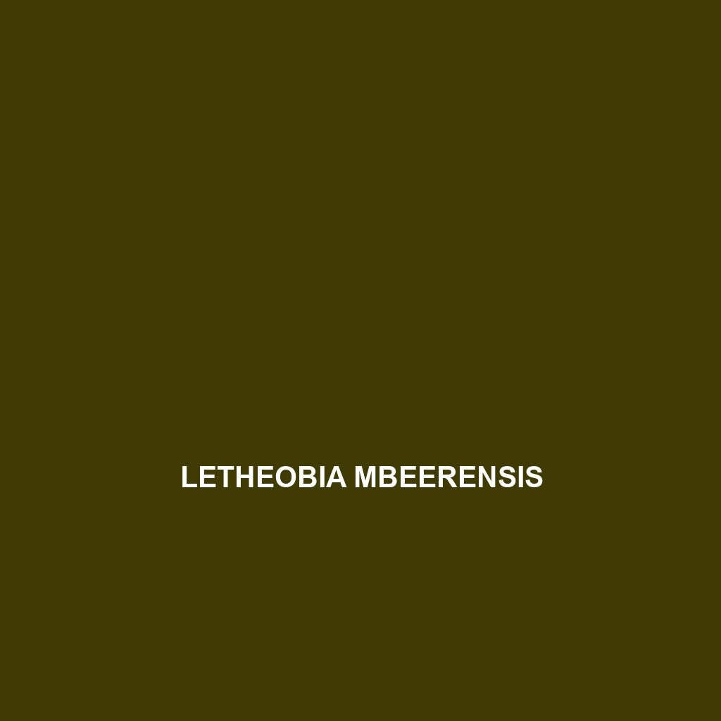 Letheobia mbeerensis