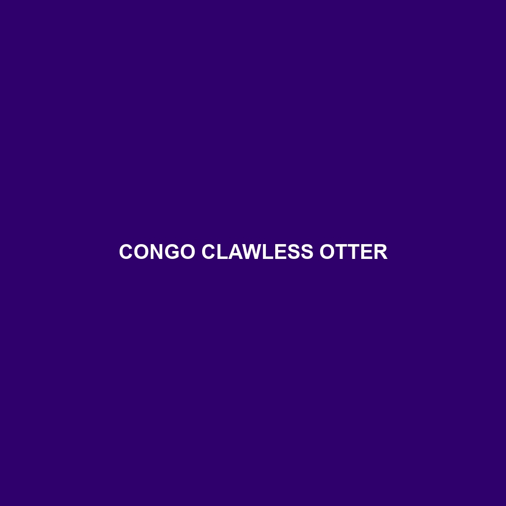 Congo Clawless Otter