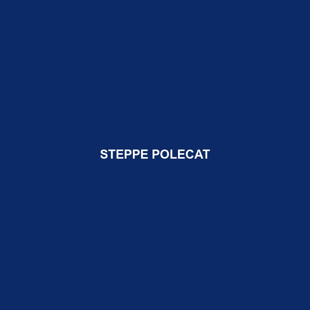 Steppe Polecat