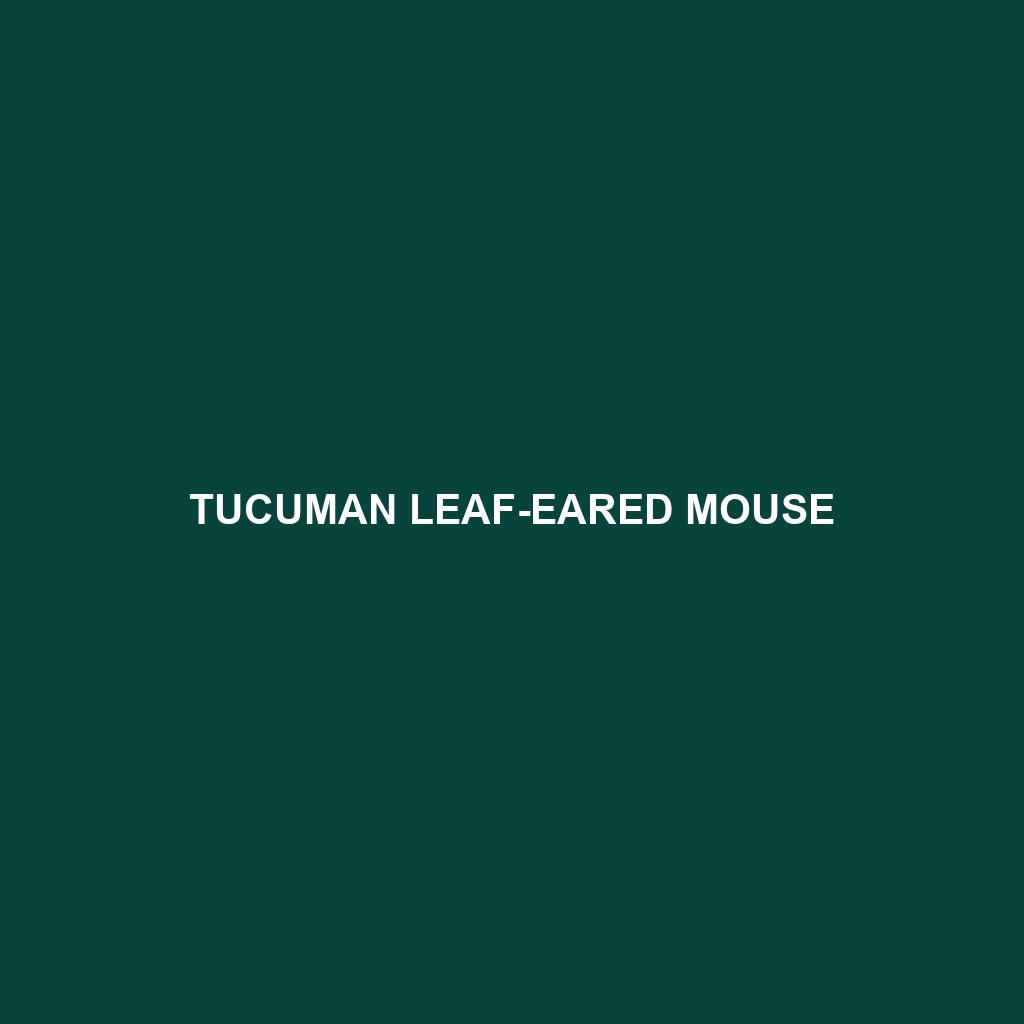 Tucuman Leaf-eared Mouse