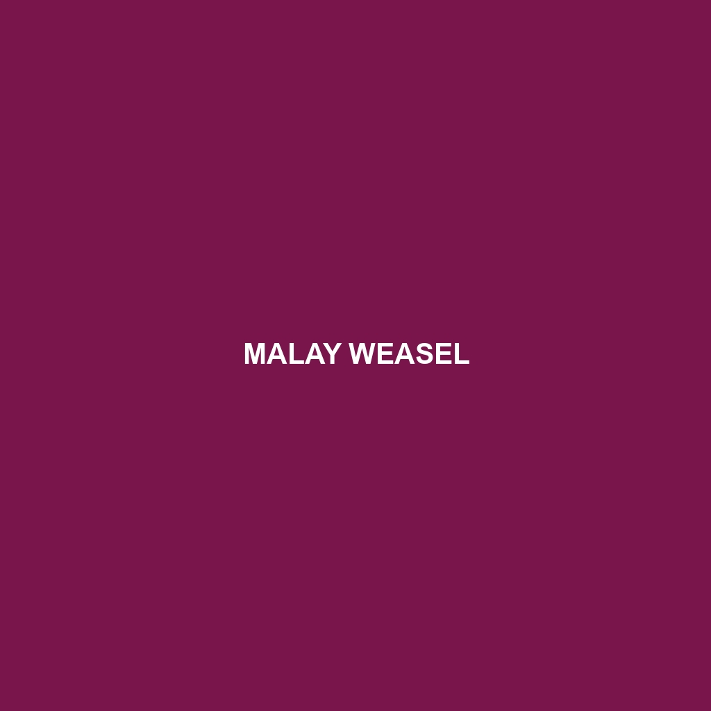 Malay Weasel