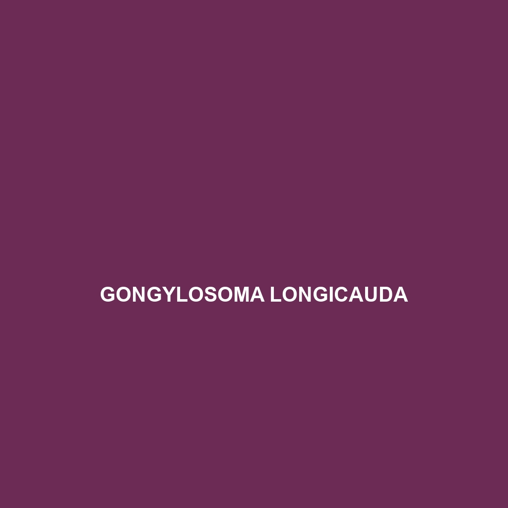 Gongylosoma longicauda