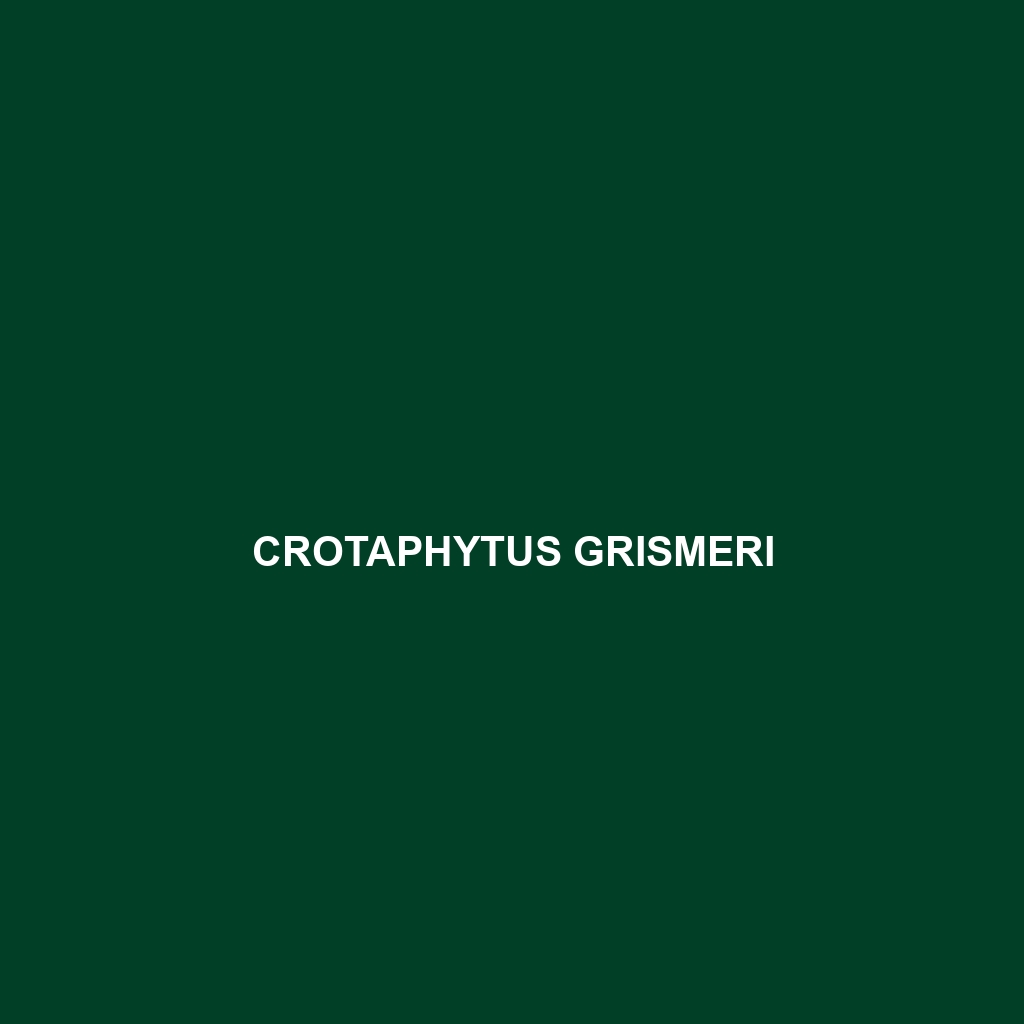 Crotaphytus grismeri