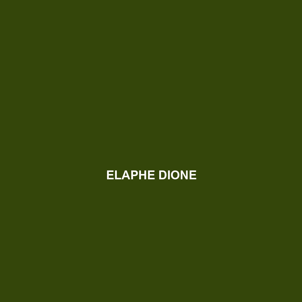 Elaphe dione