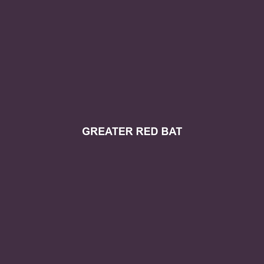 Greater Red Bat