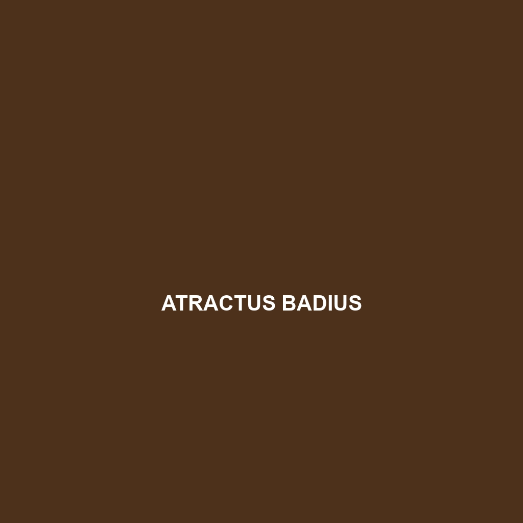 Atractus badius