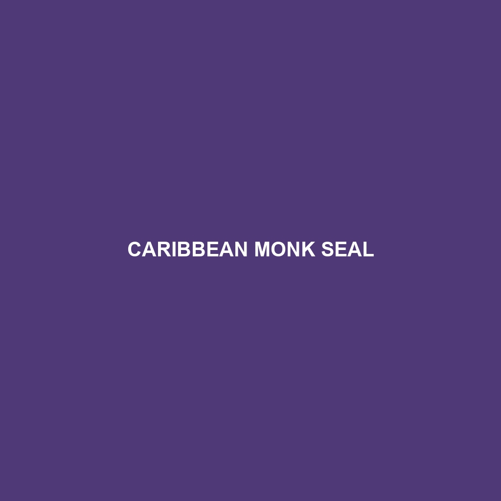 Caribbean Monk Seal