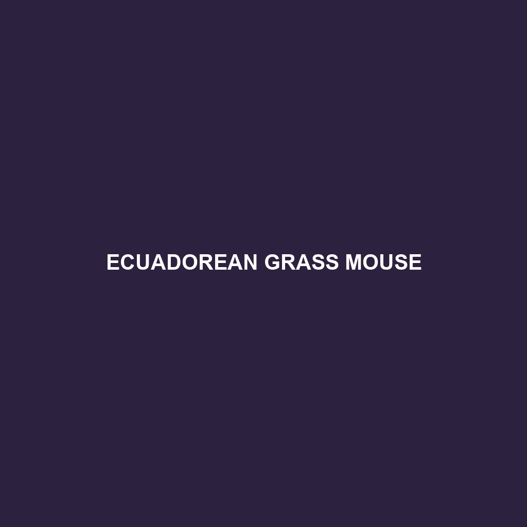 Ecuadorean Grass Mouse