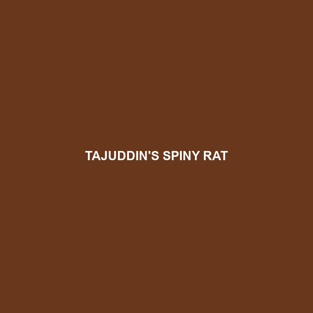 Tajuddin's Spiny Rat