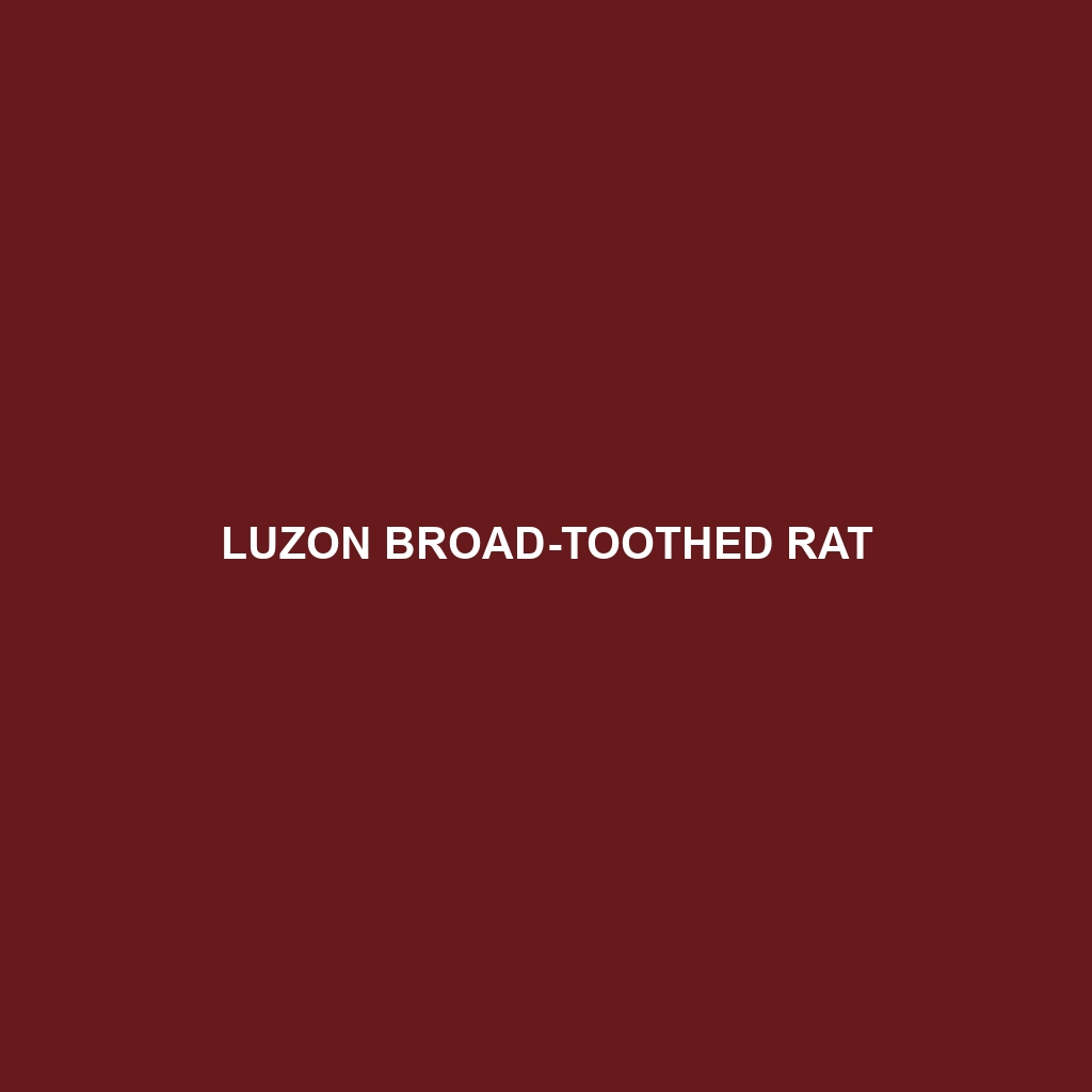 Luzon Broad-toothed Rat