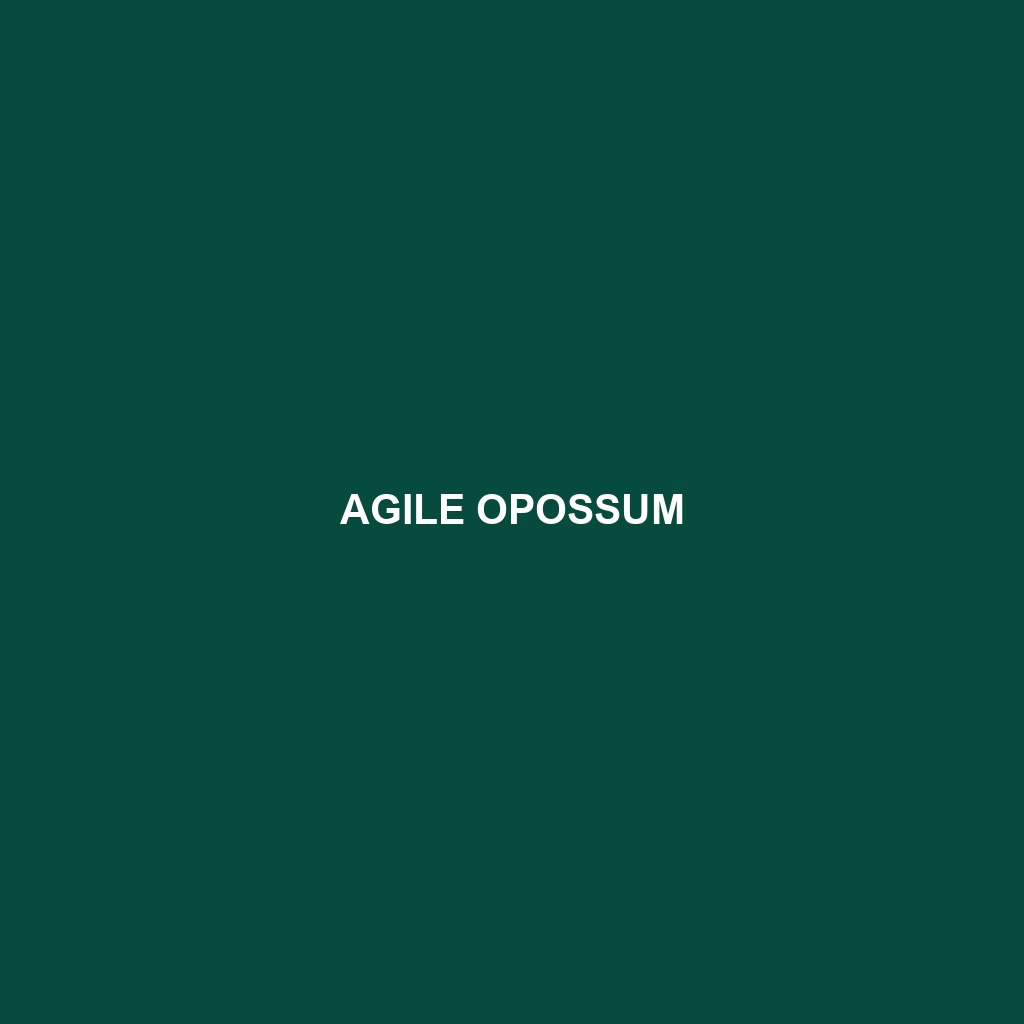 Agile Opossum