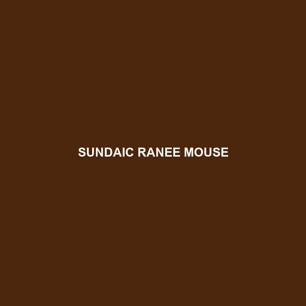 Sundaic Ranee Mouse