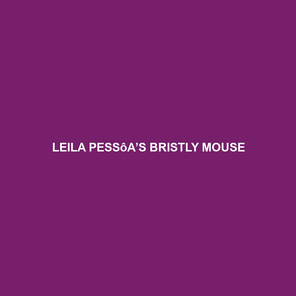 Leila Pessôa’s Bristly Mouse